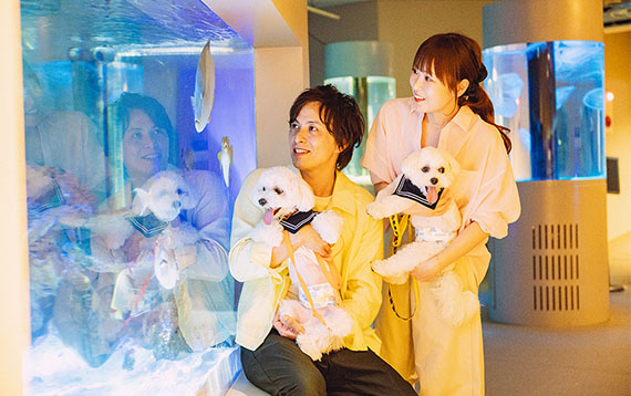わくわく海中水族館 シードーナツ