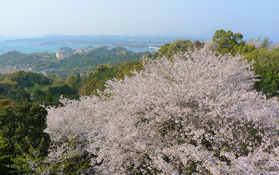 千巖山公園