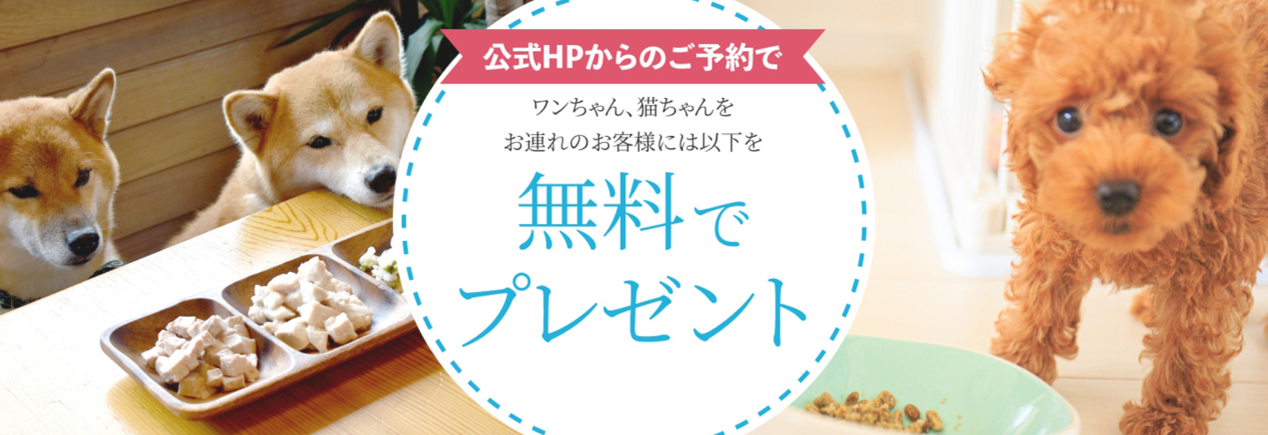 公式HPからのご予約でうれしい特典