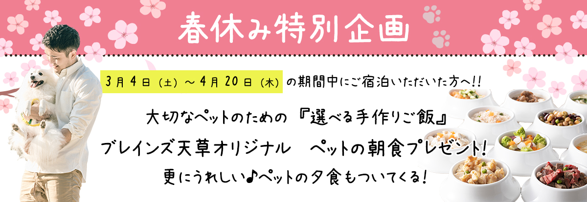 春休み特別企画