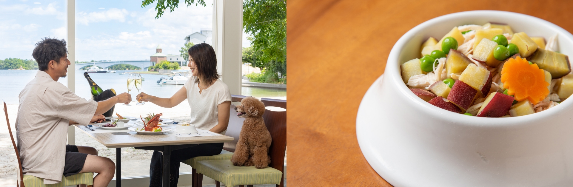 上天草の美味を堪能。ペットと一緒に過ごす、しあわせ時間。