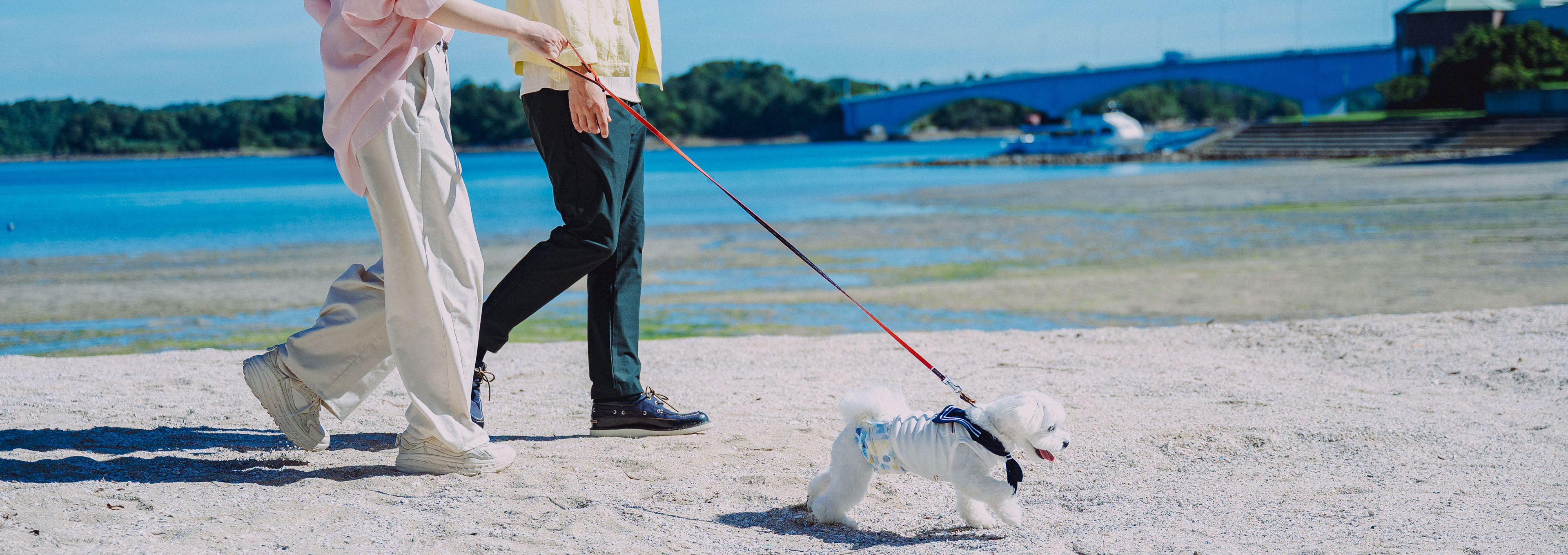 with PETS