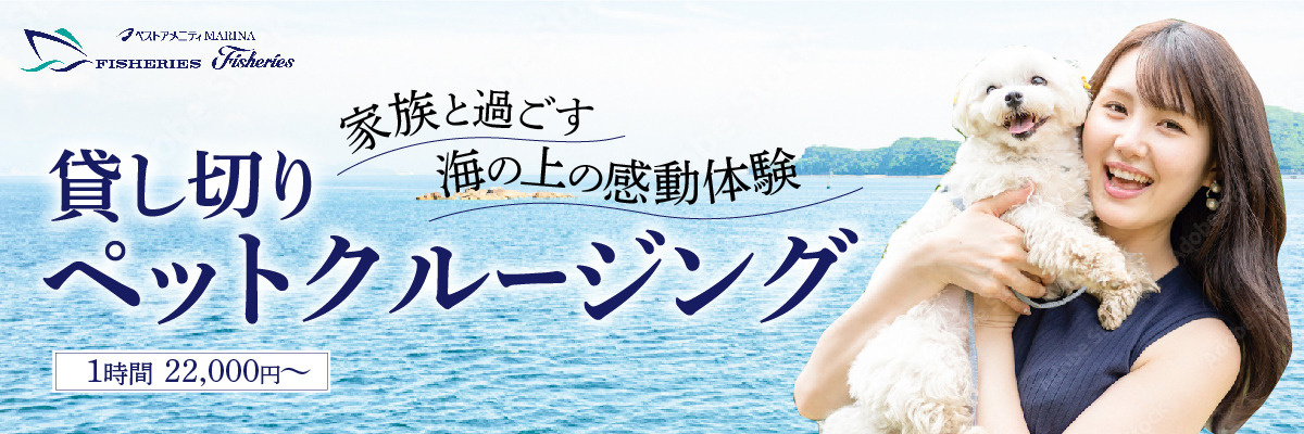 静かな浜辺の絶景をペットと一緒に。