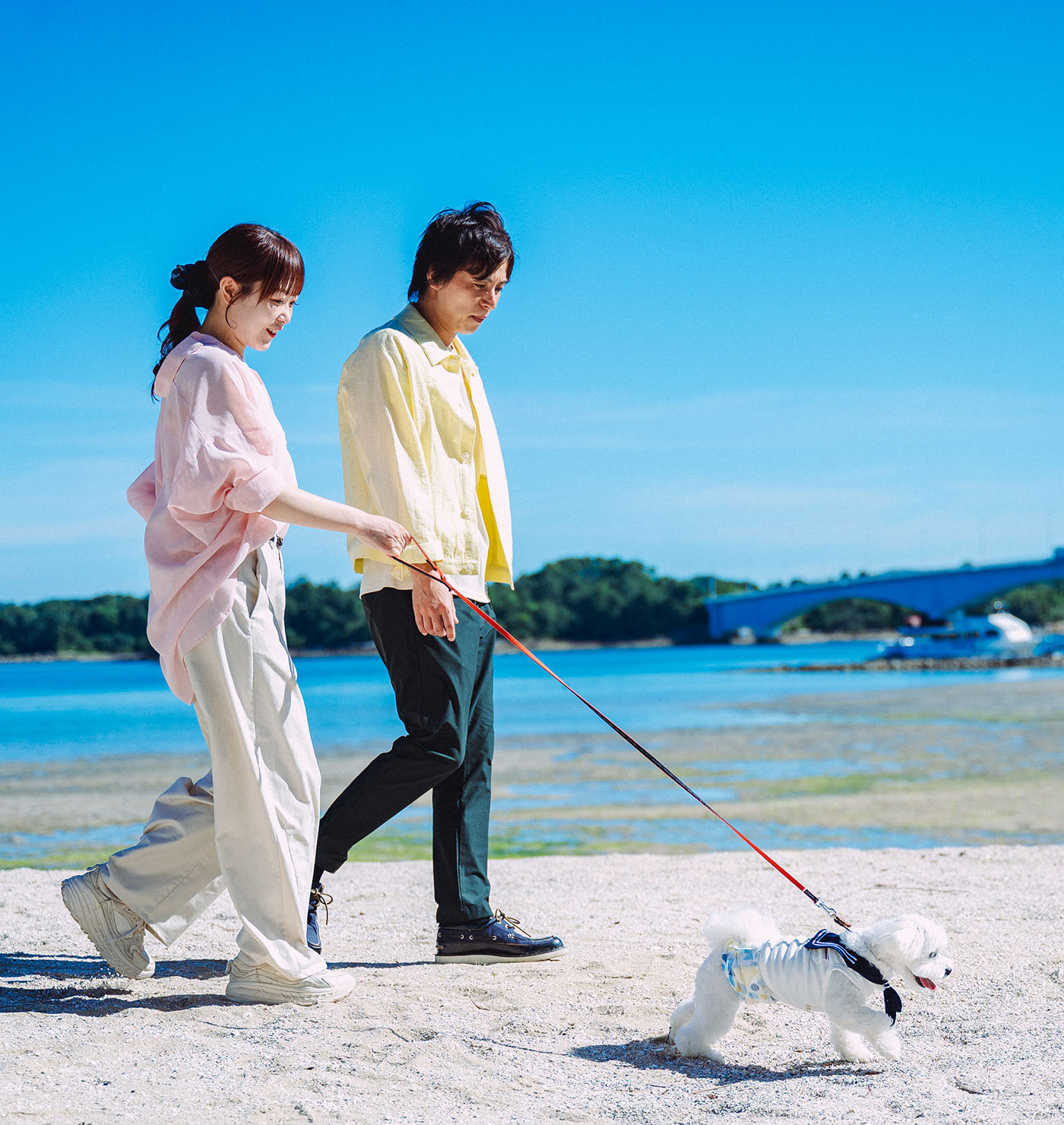 静かな浜辺の絶景をペットと一緒に。