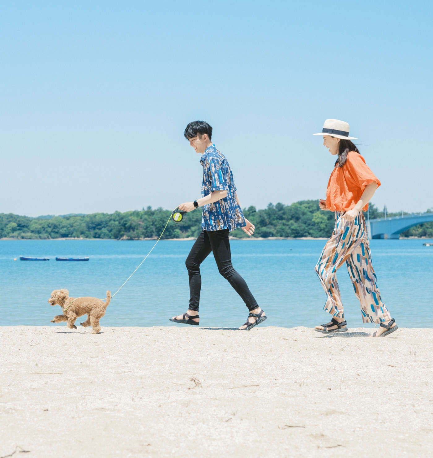 静かな浜辺の絶景をペットと一緒に。