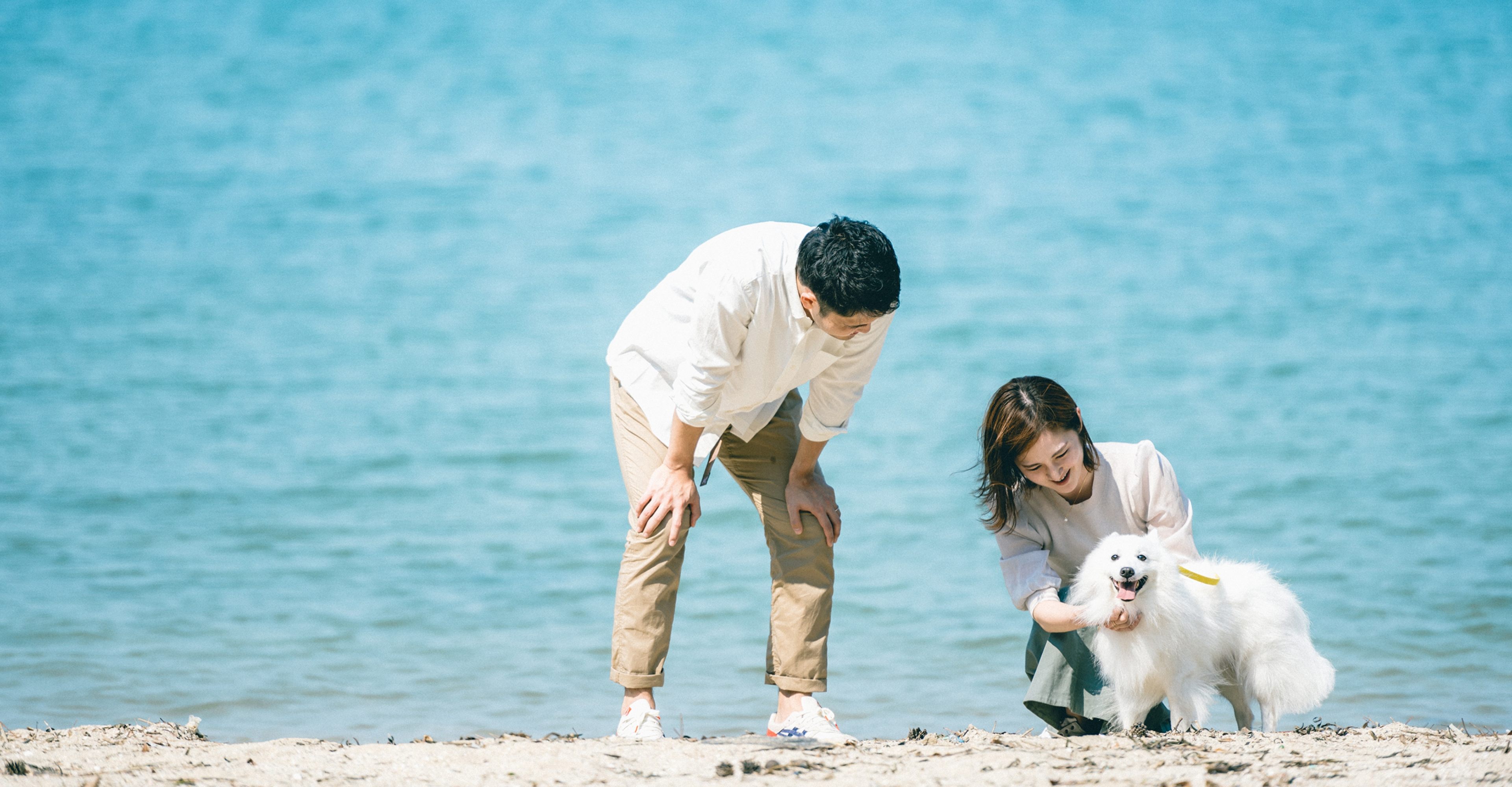 ペットと泊まれる海辺のリゾート