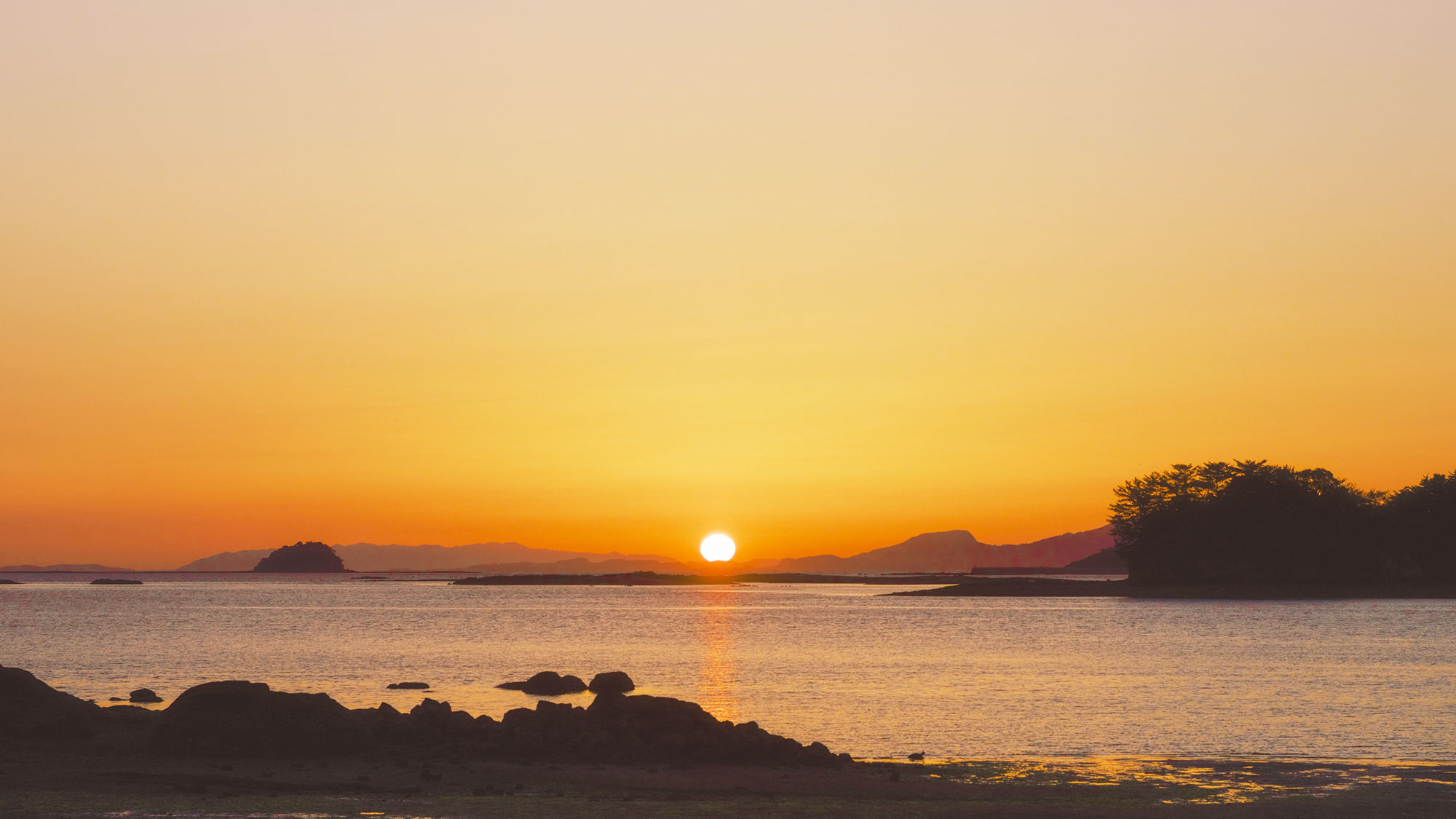ペットと泊まれる海辺のリゾート