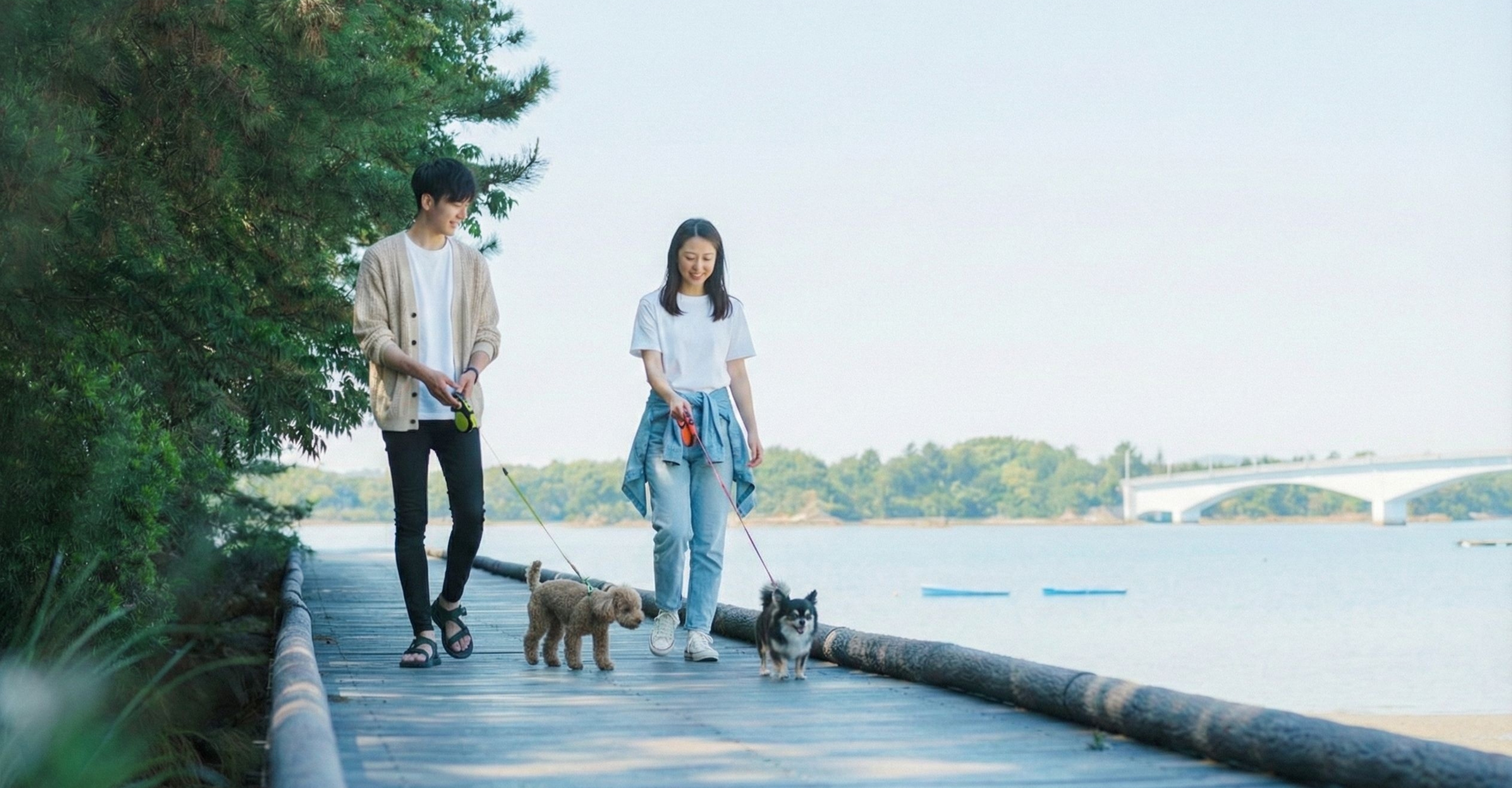 ペットと泊まれる海辺のリゾート