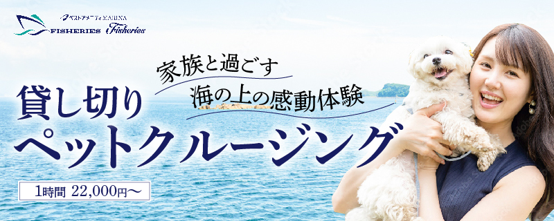 静かな浜辺の絶景をペットと一緒に。
