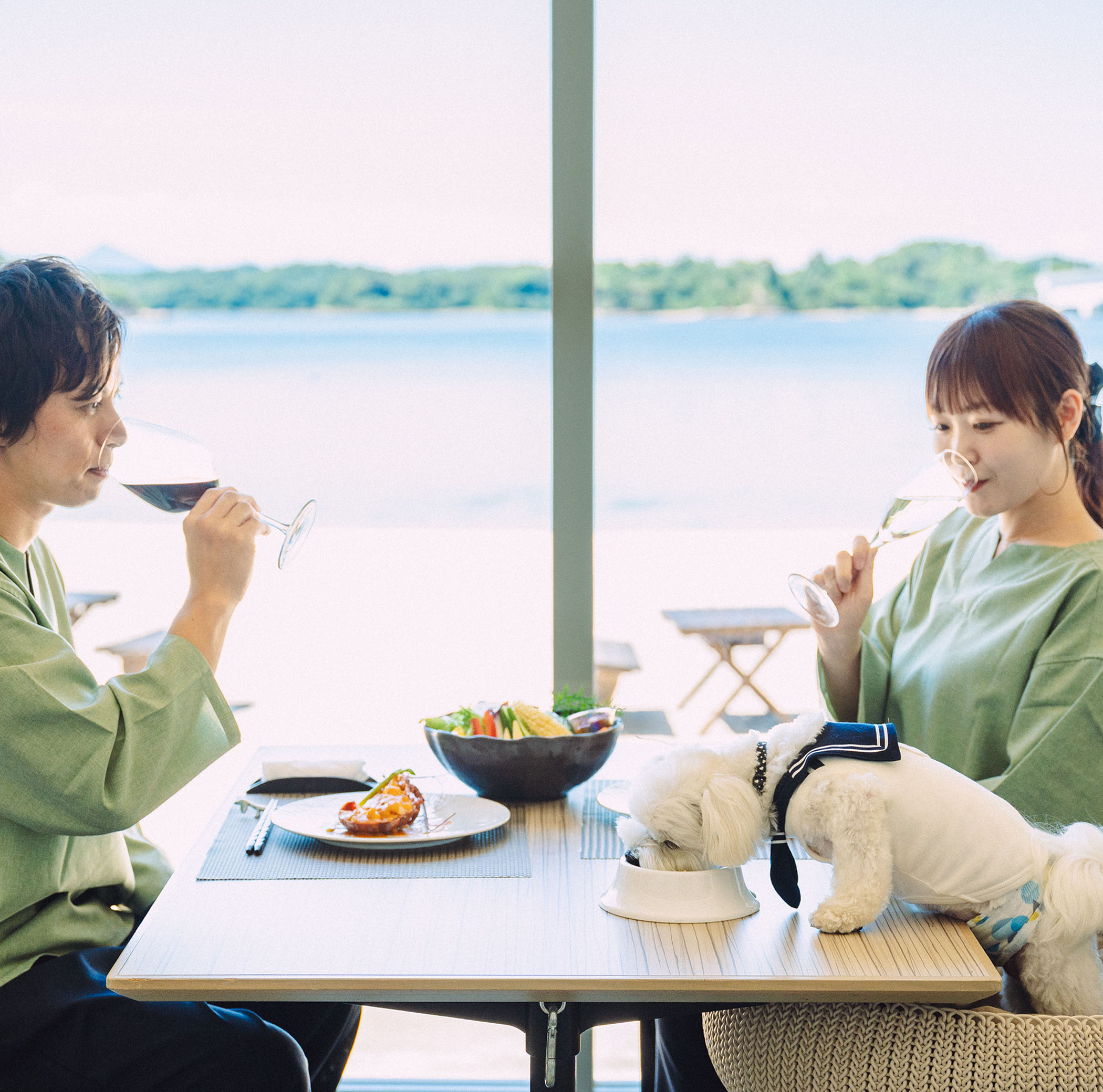 静かな浜辺の絶景をペットと一緒に。